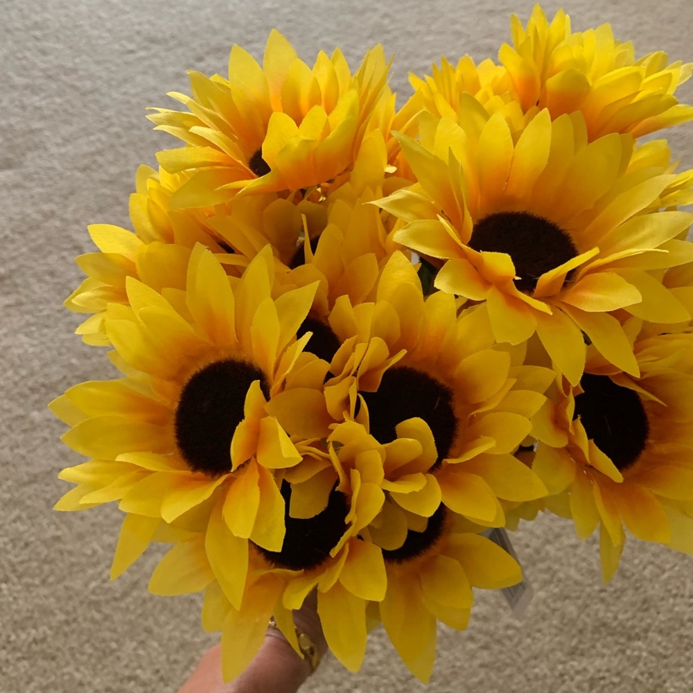 Four Buschel of Sunflowers